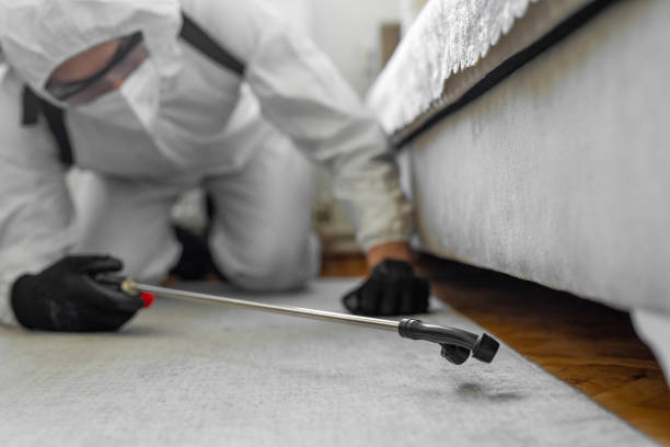 Professional Bed Bug Control technician working in North Decatur, GA